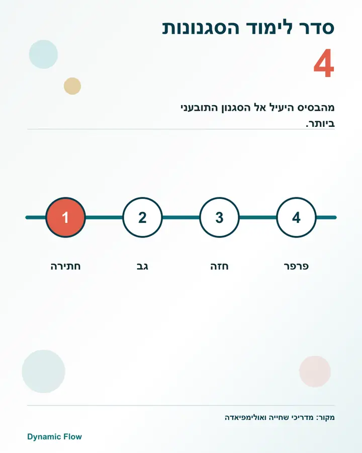 ארבעת סגנונות השחייה בסדר לימוד מקובל: חתירה, גב, חזה ופרפר.